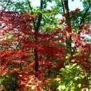 아름다운 강원㈜ 이미지