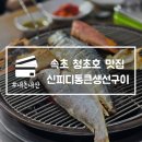 속초 청초호 맛집 신피디통큰생선구이 애견동반 가능 내돈내산