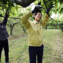 해리면사무소 이미지