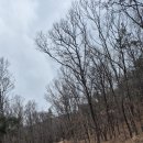 이포보 강변 | 백로의 날개를 닮은 여주 이포보와 한강 절경의 요새 파사성 트레킹