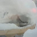 치래마을 이미지