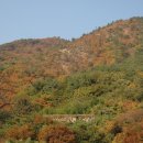 은참산 황룡골(恩站山黃龍谷) 황룡사지(黃龍寺址) 통일신라 폐석탑 이미지