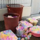 늘푸른 태권도장 이미지