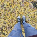 전주펜션 이미지