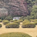 정보통신공제조합 노동조합 | 대전 결혼식장 투어후기 (대전야외결혼식장 KT인재개발원 웨딩온, 비엠케이, 빌라드알티오라, 유성컨벤션)