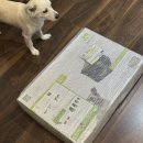 프리미엄 켄넬 | 멜슨 소프트 켄넬 62사이즈 내돈내산 후기