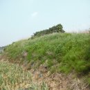 오뚜기제유(주) | 충청북도 음성군 금왕읍 호산리 541 전 경매