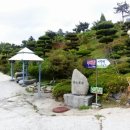 동진다향원