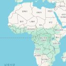 유한내추럴 | 성남 분당 파충류샵 뉴런내추럴 블랙스롯 모니터 분양!!