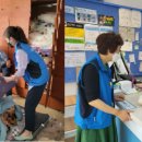 다솜 세탁 이미지