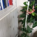 일남농장 이미지