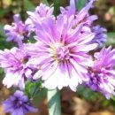 여의도이비인후과의원 이미지