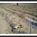 현재농장 이미지