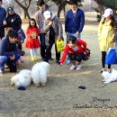 개스타하우스 이미지