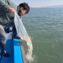 비안도수산 이미지