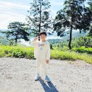 화순적벽 버스투어(적벽투어) | 전남 아이랑가볼만한곳 화순 적벽버스투어 가족나들이