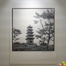 의성 안계미술관 전시 &lt;기억을 닦다, 지역을 남기다&gt;(~6/7) 관람 후기
