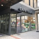 스페이스살림트립티