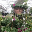 예삐마트 이미지