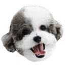 펫사랑동물병원 | 이달의 동물병원 목동 '펫사랑동물병원'