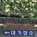솔밭막국수 | 솔밭가든막국수 비빔막국수 &amp; 회막국수 내돈내산 후기