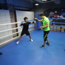 YS복싱클럽 이미지