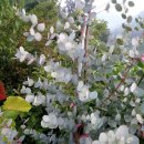 부림중학교 이미지