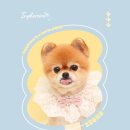 인생멍컷 이미지