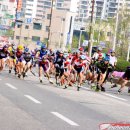 제5회 춘천 전국 인라인 마라톤 대회결과 이미지