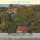 싱가포르 여행의 정점, 카펠라 싱가포르 호텔 후기: 럭셔리의 끝판왕