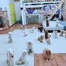 고목로1 네이버블로그