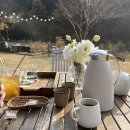 강릉 카페 르꼬따쥬 LE COTTAGE 독채 한옥 프라이빗하게 즐기는 가을 팜크닉 🌳예약제 운영, 강릉 포토존