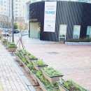 도촌동 주민센터 이미지