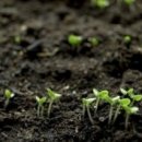 풀내음농장 이미지