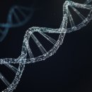 크리스퍼 카스나인(CRISPR-Cas9)