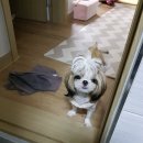 심쿵플레이스 Daum카페