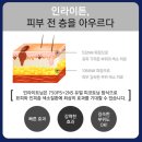 몽고반점 - 용인시 기흥구 평촌2로1번길 23 | 몽고반점