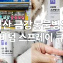 금강동물병원 이미지