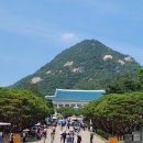 KT반송지사 | 대통령 이후, 청와대 다시 열린다? 예약부터 방문기까지" 관람 후기🇰🇷 마지막 기회, 직접 다녀왔어요!