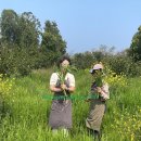 올리농장 이미지