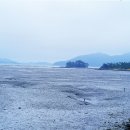 대광해수욕장 이미지