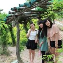 경자네 농장 이미지