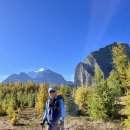 Saddleback Trail, Lake Louise, Banff National Park(09/15/23) 이미지