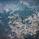 김포 장릉 이미지