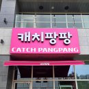 캐치팡팡 이미지