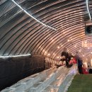 청양소방서 화장실 2층 | 청양 알프스마을 얼음분수 축제 개장 임박 12월 연말 실시간후기