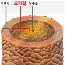 모표 이미지