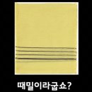 신기한의원 Daum카페
