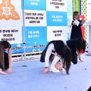 돈달로 이미지