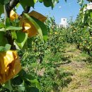 (주)토옥 이미지